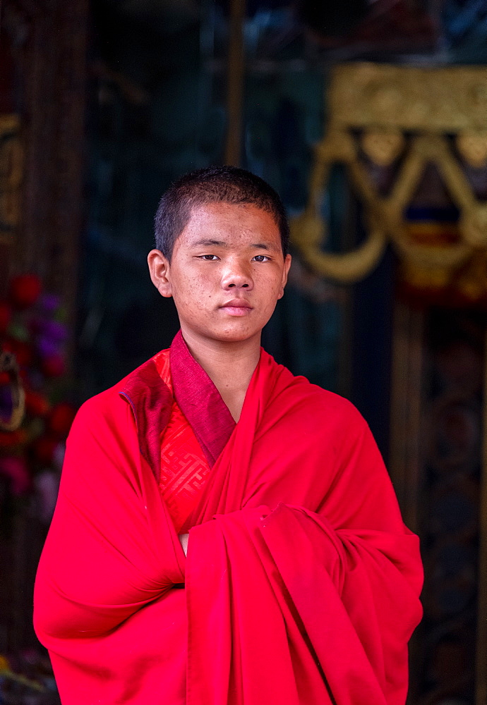 Portrait of a young Buddhist monk, Punakha Dzong, Bhutan, Asia