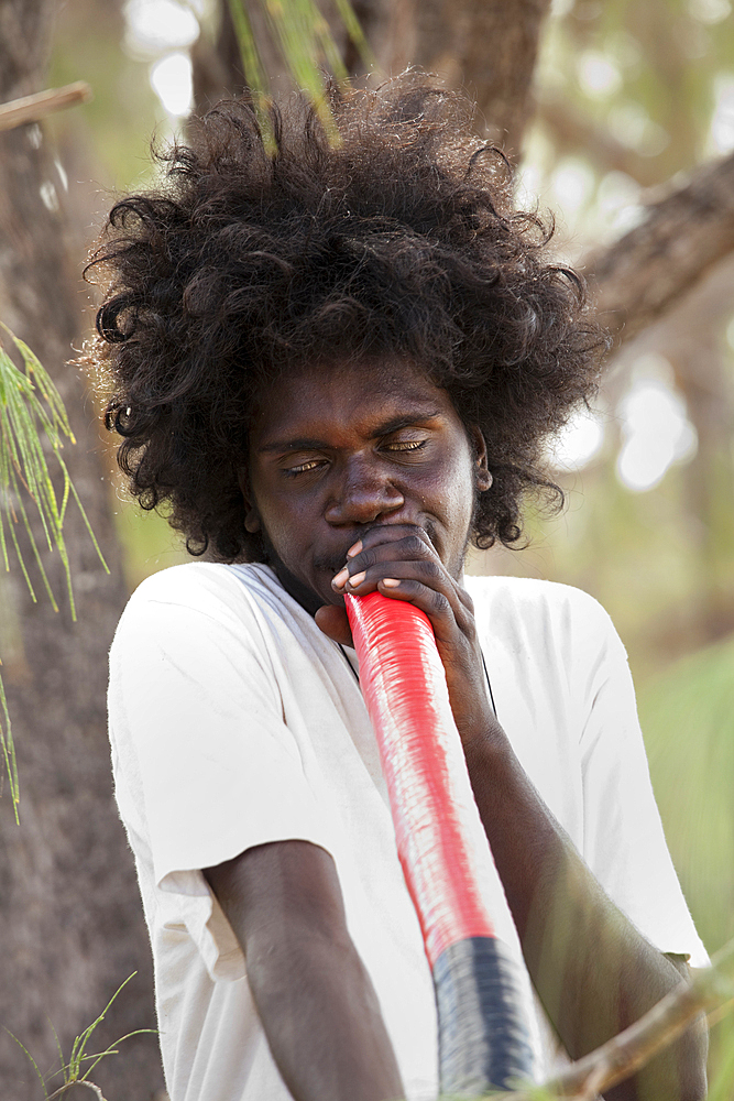 Aboriginal songwriter, dancer, playing didgeridoo, Bukudal Homeland, East Arnhem Land,Northern Territory, Australia, Pacific