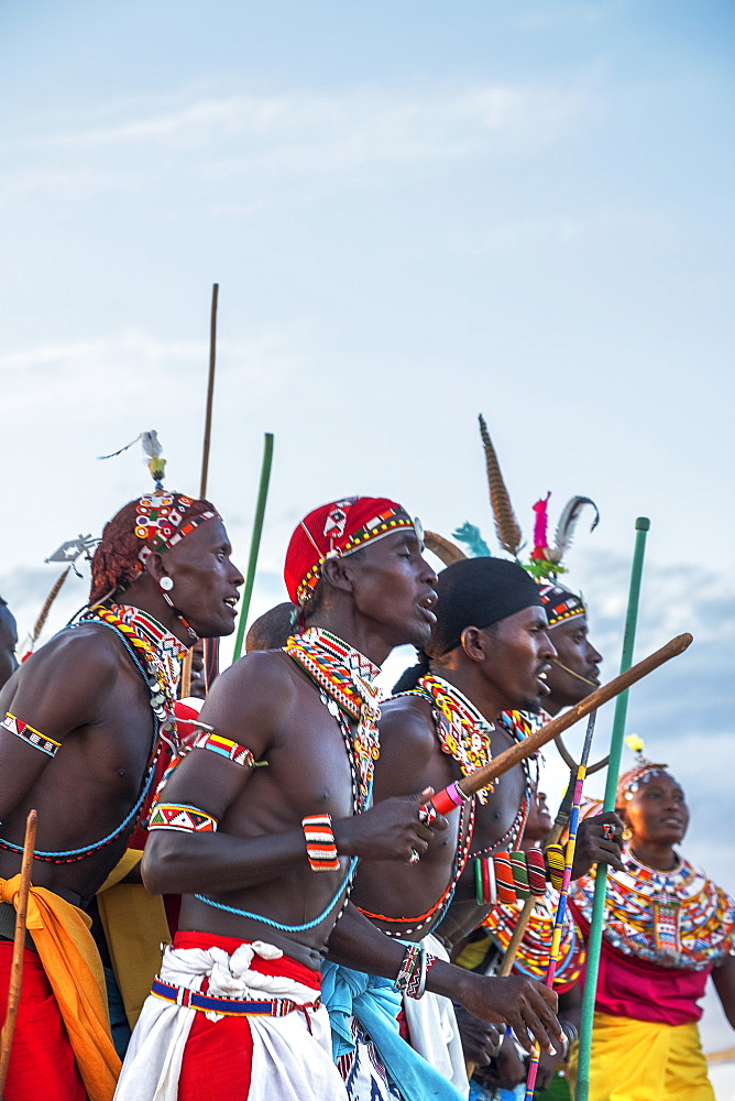 Portrait of Samburu tribe members dancing the traditional wedding dance at dusk, Kenya, East Africa, Africa