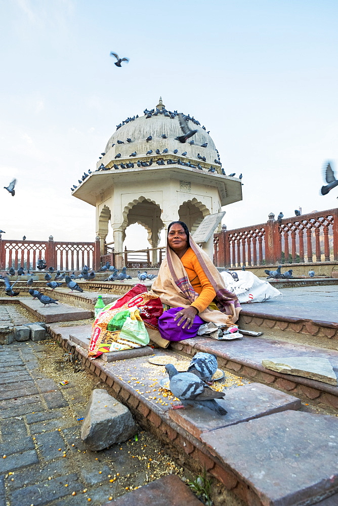 Woman feeding pigeons with corn at Amber Fort in Rajasthan, India, Asia