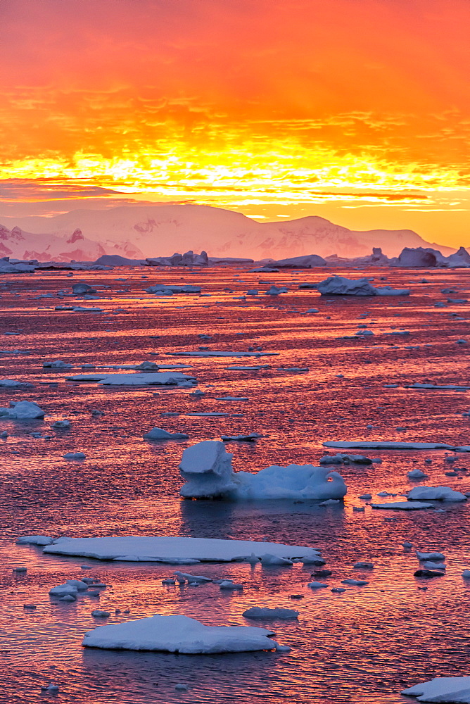 Sunset over ice floes and icebergs, near Pleneau Island, Antarctica, Southern Ocean, Polar Regions