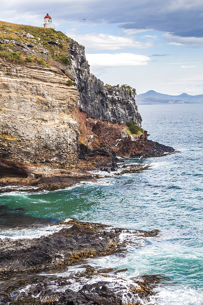 Lighthouse to the natural inner harbour of Dunedin, Otago, South Island, New Zealand, Pacific