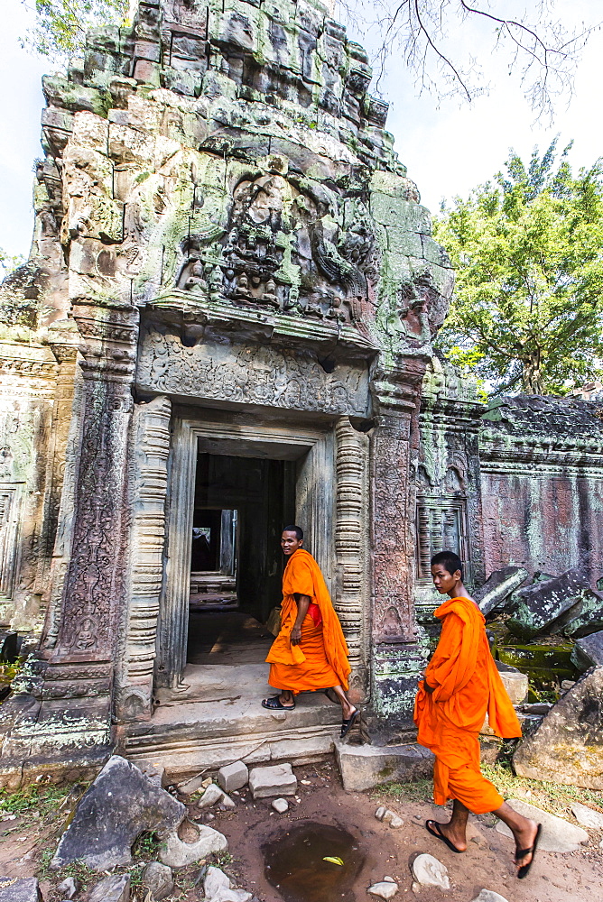 Buddhist monks at Ta Prohm Temple (Rajavihara), Angkor, UNESCO World Heritage Site, Siem Reap Province, Cambodia, Indochina, Southeast Asia, Asia