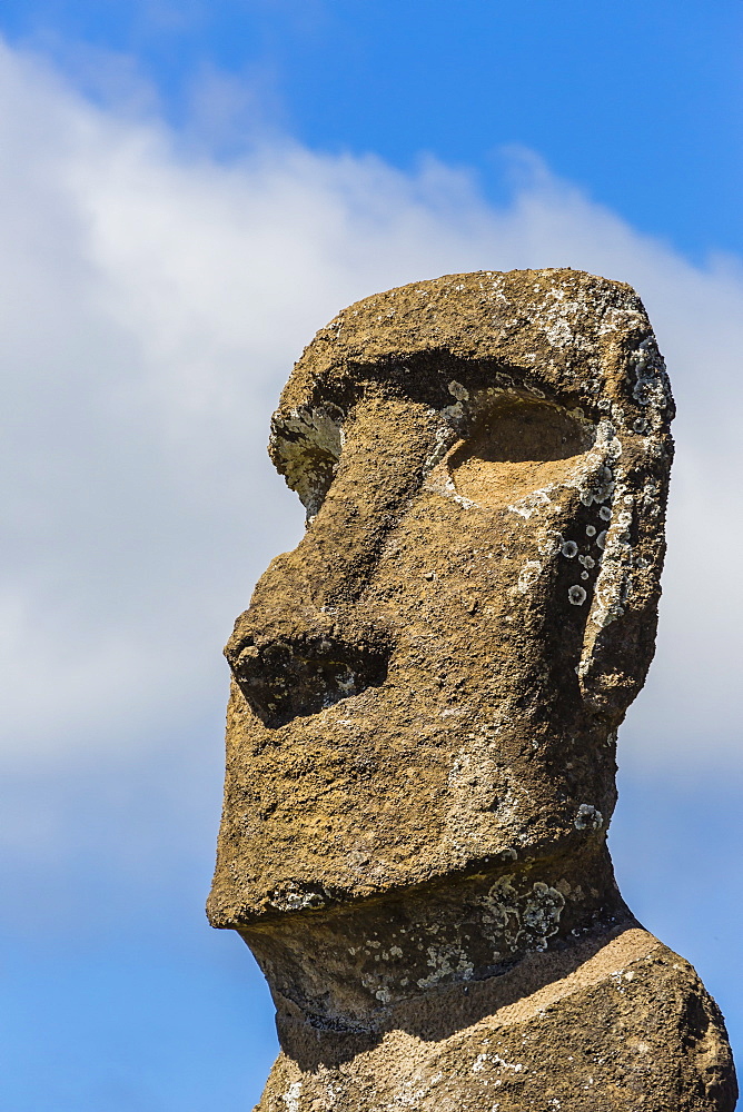 Detail of a moai at Ahu Akivi, the first restored altar on Easter Island (Isla de Pascua) (Rapa Nui), UNESCO World Heritage Site, Chile, South America 