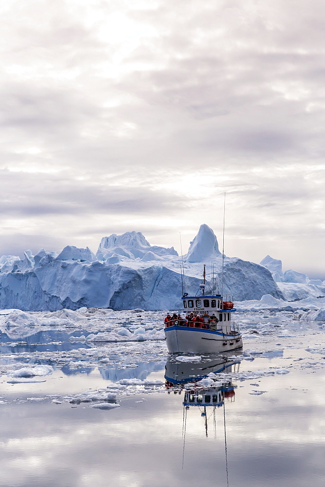 A commercial iceberg tour amongst huge icebergs calved from the Ilulissat Glacier, UNESCO World Heritage Site, Ilulissat, Greenland, Polar Regions