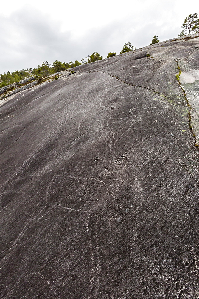 Leiknes Rock Paintings depicting deer, drawn by the ancestors of the Saami perhaps 9000 years ago, Leiknes, Troms, Norway, Scandinavia, Europe