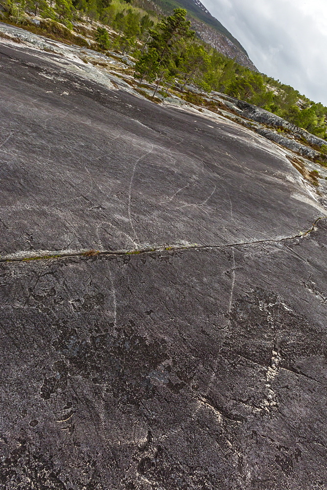 Leiknes Rock Paintings depicting a killer whale, drawn by the ancestors of the Saami perhaps 9000 years ago, Leiknes, Troms, Norway, Scandinavia, Europe