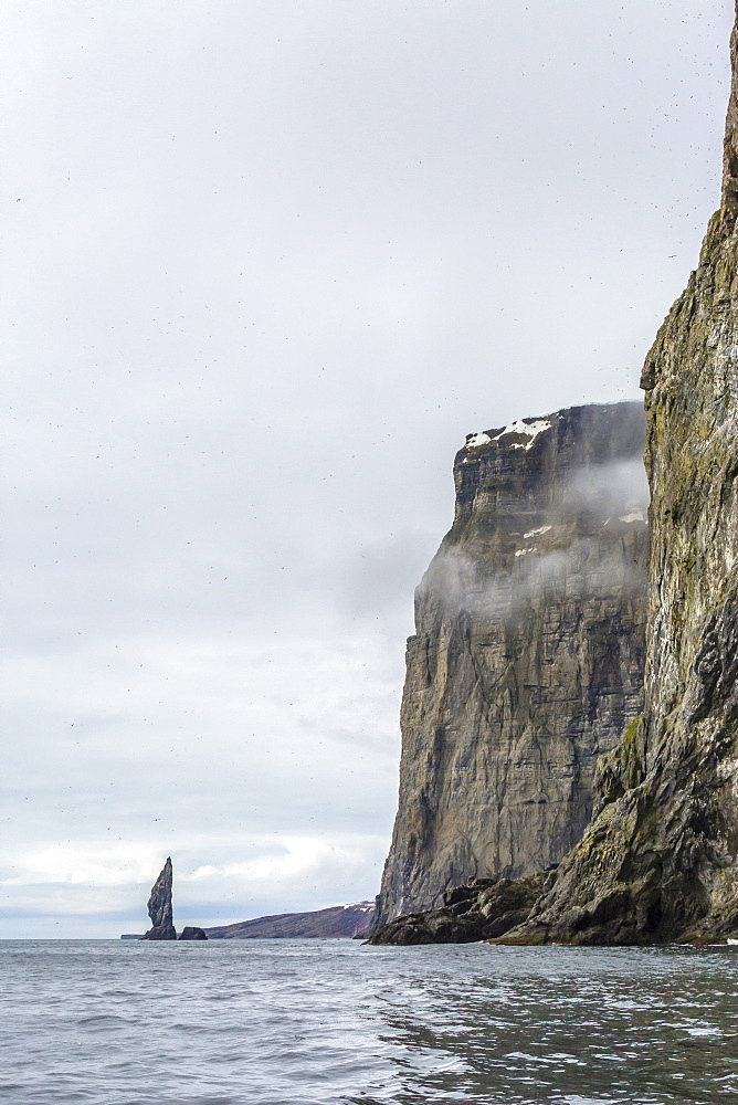 Steep cliffs filled with nesting birds on the south side of Bjornoya (Bear Island), Svalbard, Norway, Scandinavia, Europe