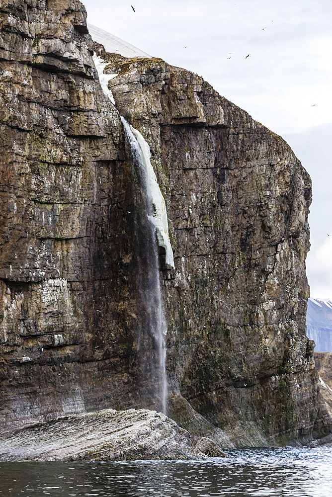 Steep cliffs filled with nesting birds on the south side of Bjornoya (Bear Island), Svalbard, Norway, Scandinavia, Europe