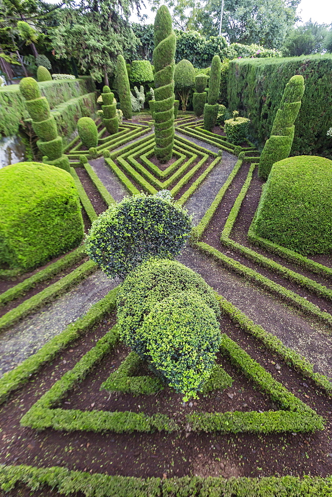 A view of the Botanical Gardens, Jardim Botanico do Funchal, in the city of Funchal, Madeira, Portugal, Europe