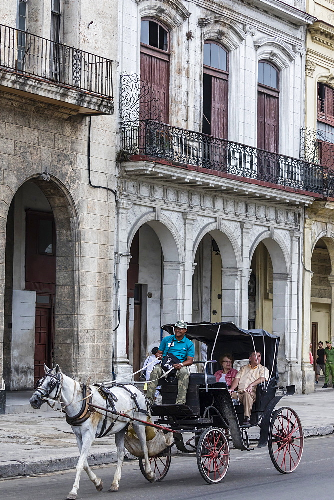 Horse-drawn carts known locally as coches for hire in Havana, Cuba, West Indies, Central America