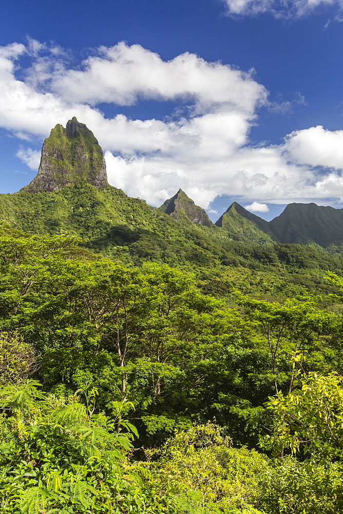 View of the rugged mountains surrounding Opunohu Valley from the Belvedere Overlook, Moorea, French Polynesia, South Pacific, Pacific