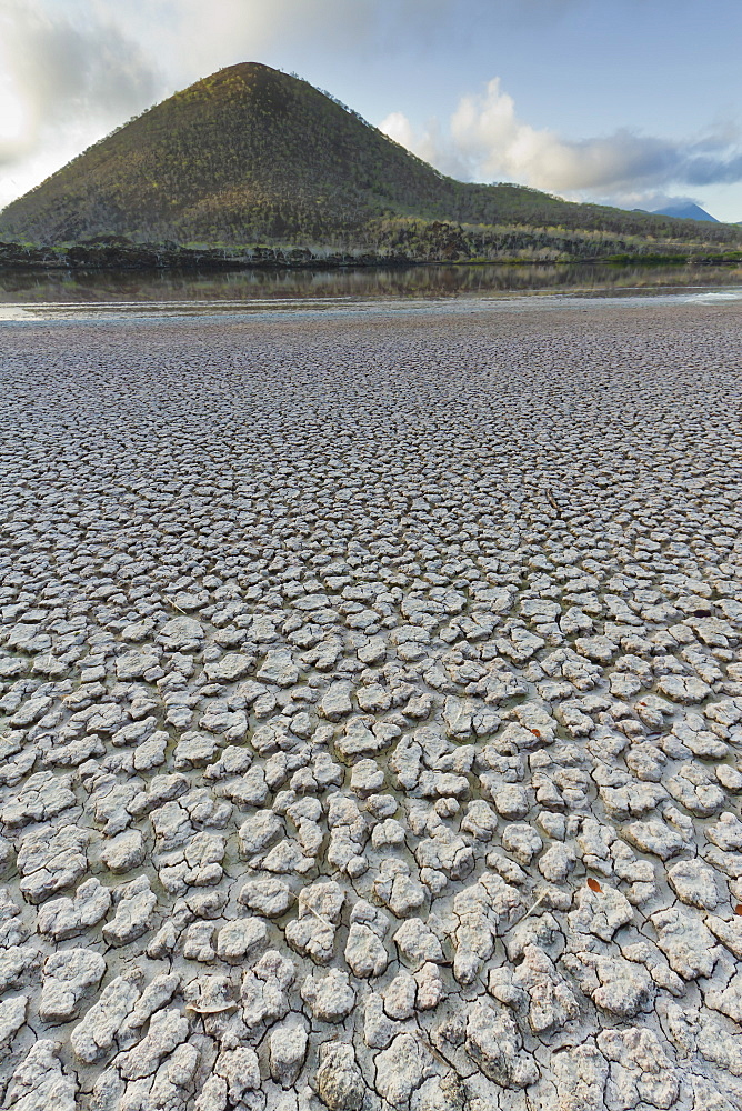 Dried mud flats, Cormorant Point, Floreana Island, Galapagos Islands, UNESCO World Heritage Site, Ecuador, South America