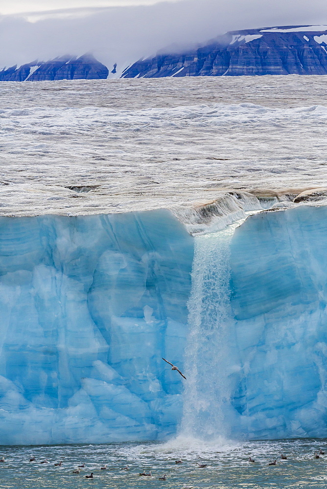 Negribreen (Negri Glacier), Olav V Land, Spitsbergen, Svalbard Archipelago, Norway, Scandinavia, Europe