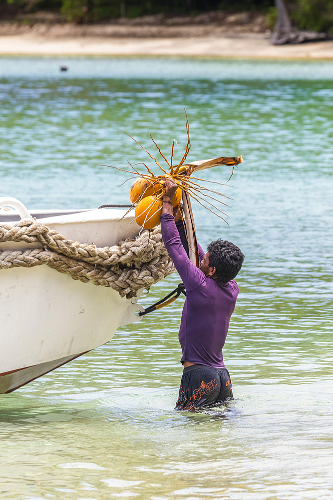 Local man loading coconuts in to a boat at Batu Hatrim, Raja Ampat, Indonesia, Southeast Asia, Asia