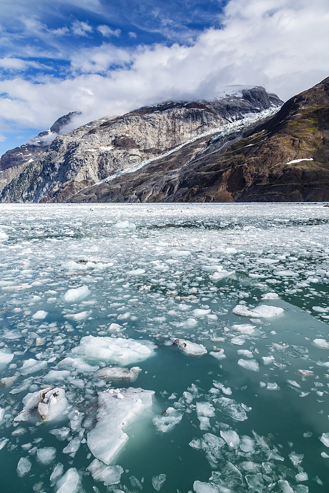 Johns Hopkins Inlet, Fairweather Range, Glacier Bay National Park and Preserve, Southeast Alaska, United States of America, North America 