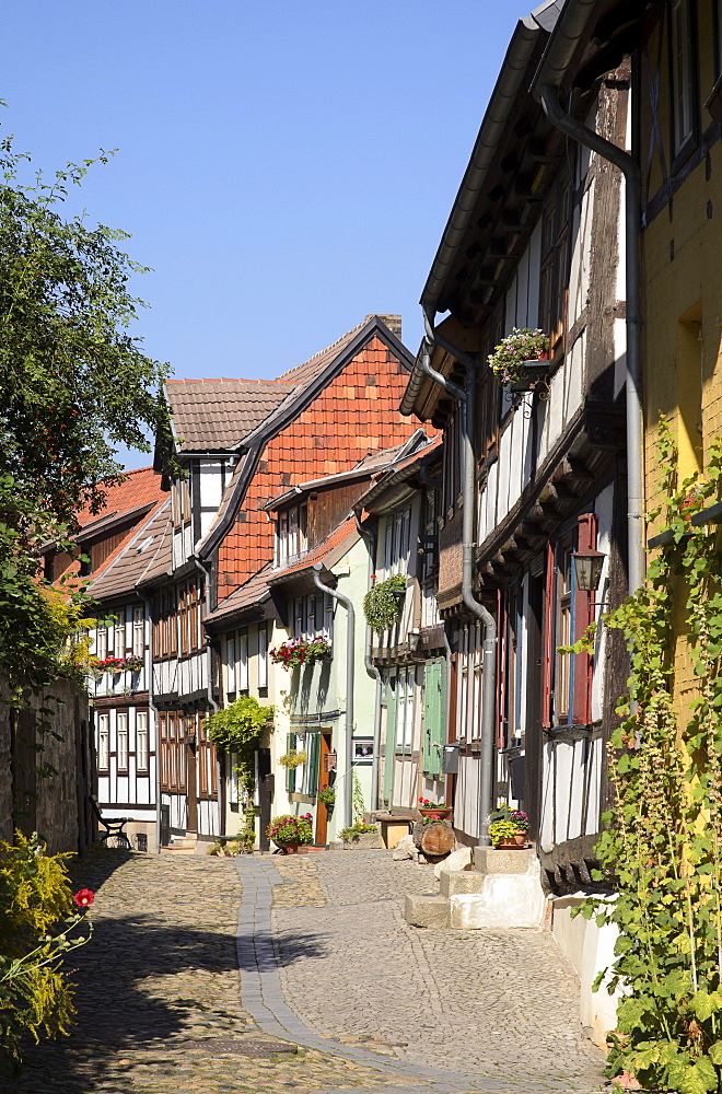 Half-timbered houses in an alley on Schlossberg Quedlinburg, beneath the castle and Collegiate Church of St Servatius, Quedlinburg, Harz, Saxony-Anhalt, Germany, Europe