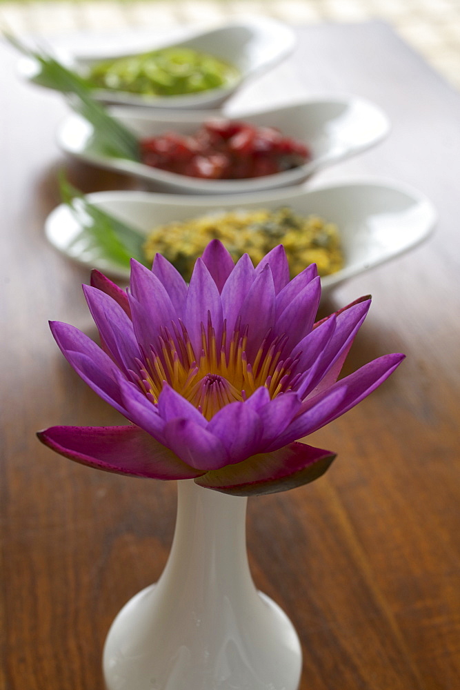 Lotus flower and ayurvedic food at Heritance Maha Gedara Ayurveda Resort at Beruwela, Southwest coast, Sri Lanka