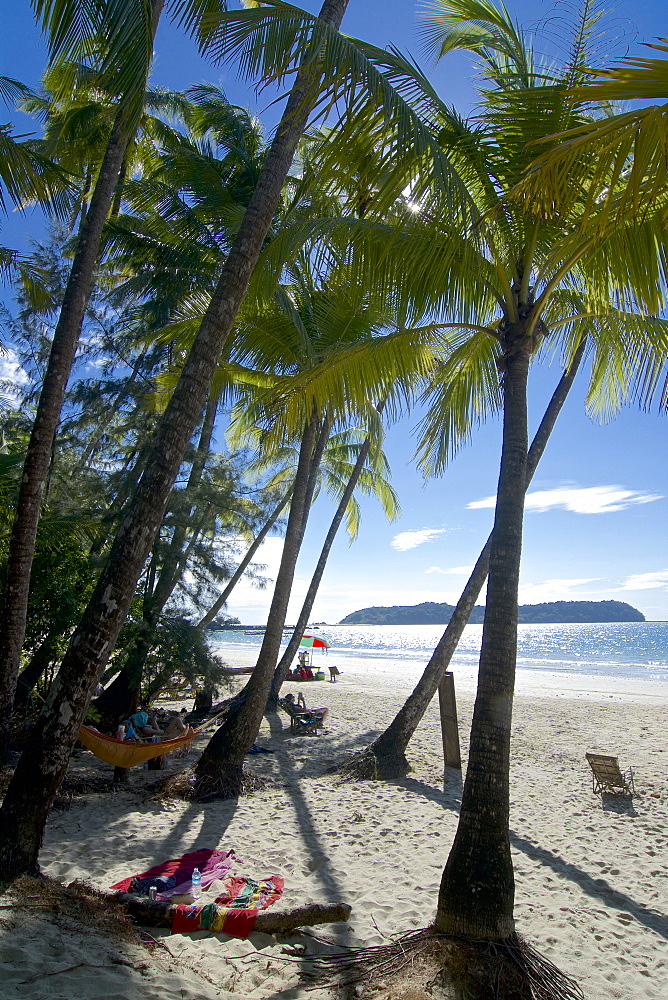 Palm trees on the beach, Ngapali, most famous beach resort in Burma at the Bay of Bengal, Rakhaing State, Arakan, Myanmar, Burma