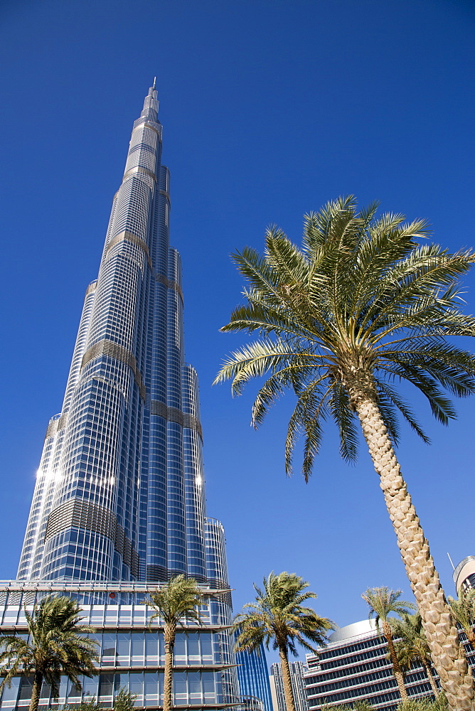 Burj Khalifa tower and palm trees, Dubai, United Arab Emirates