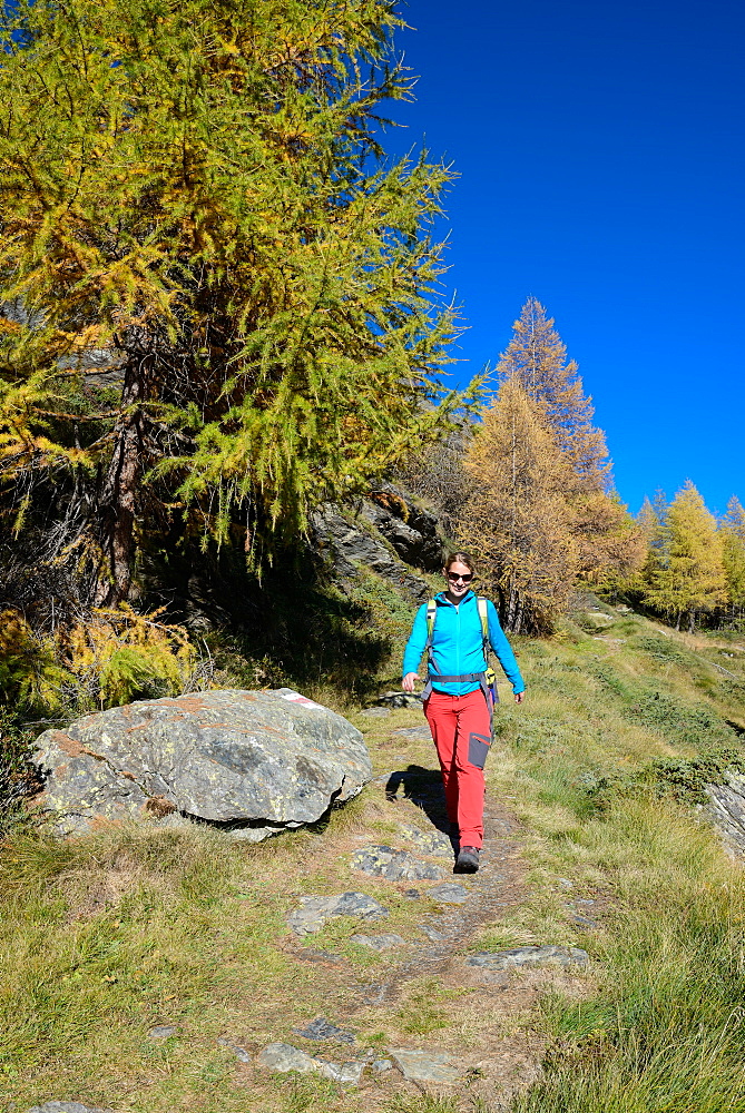 Woman hiking above Lake Sils, Engadin, Grisons, Switzerland