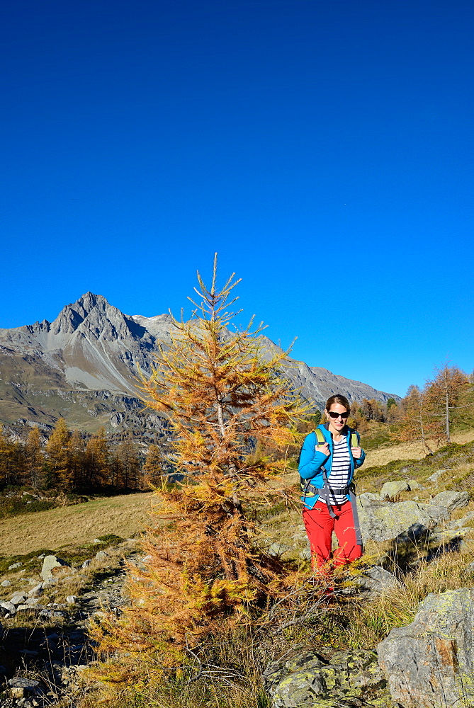 Woman hiking above Lake Sils with Piz Lagrev (3164 m) in the background, Engadin, Grisons, Switzerland