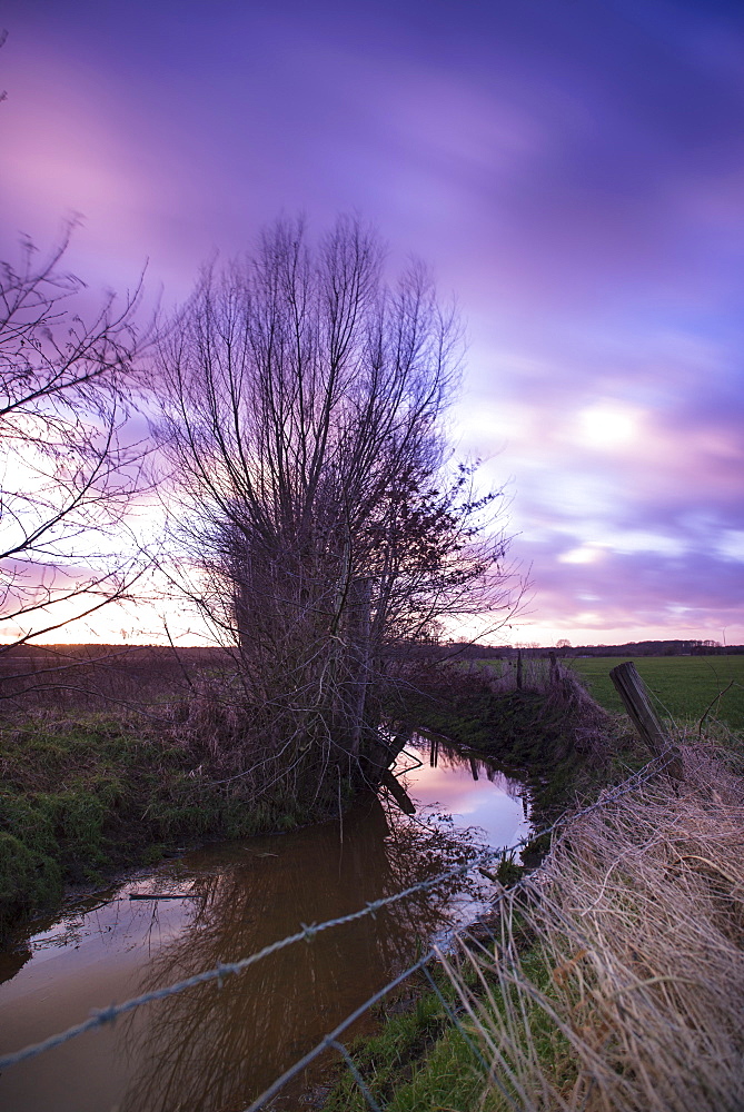 Willow trees along a creek in the evening sun, Long Exposure, Rhade, Dorsten, North Rhine Westphalia, Germany