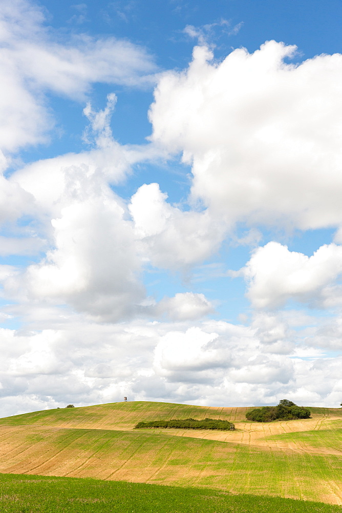 Scenery with fields in summer, Schorfheide-Chorin Biosphere Reserve, Uckermark, Brandenburg, Germany