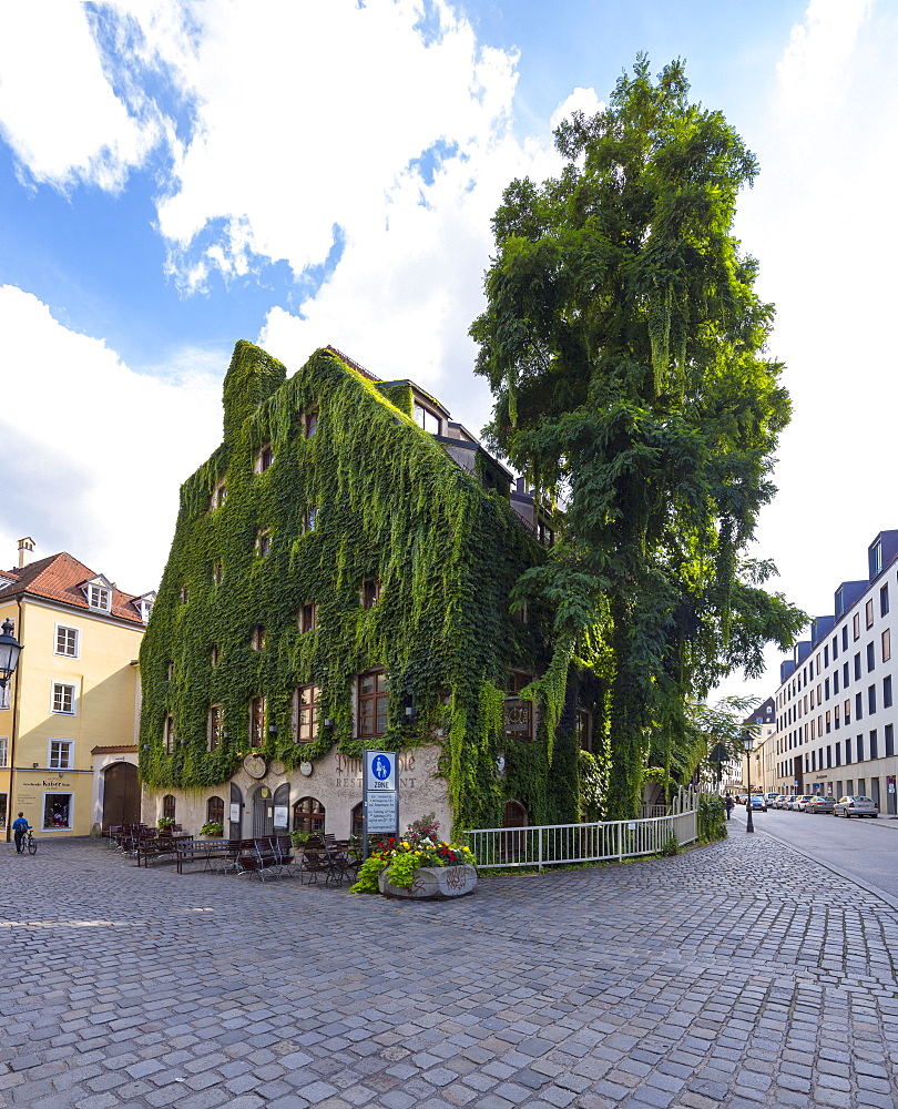 Alte Hofpfisterei, Munich, Upper Bavaria, Bavaria, Germany