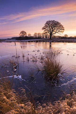 Katenhofer moor at sunset, Danish wahld, rendsburg-eckernfÃ¶rde, schleswig-holstein, germany