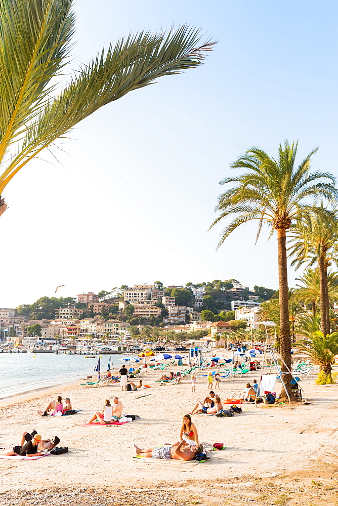 Beach with palm trees, Mediterranean Sea, Port de Soller, Serra de Tramuntana, Majorca, Balearic Islands, Spain, Europe