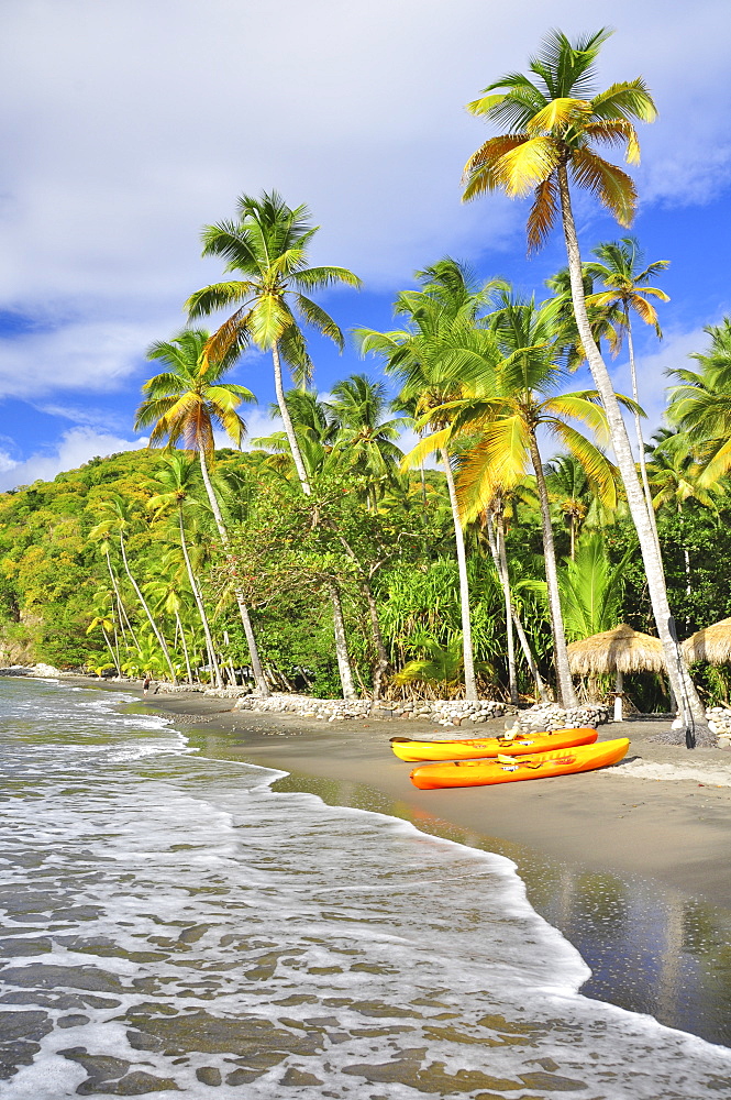 palm trees and boats on Anse Mamin beach, Anse Chastanet, sea, Soufriere, St. Lucia, Saint Lucia, Lesser Antilles, West Indies, Windward Islands, Antilles, Caribbean, Central America