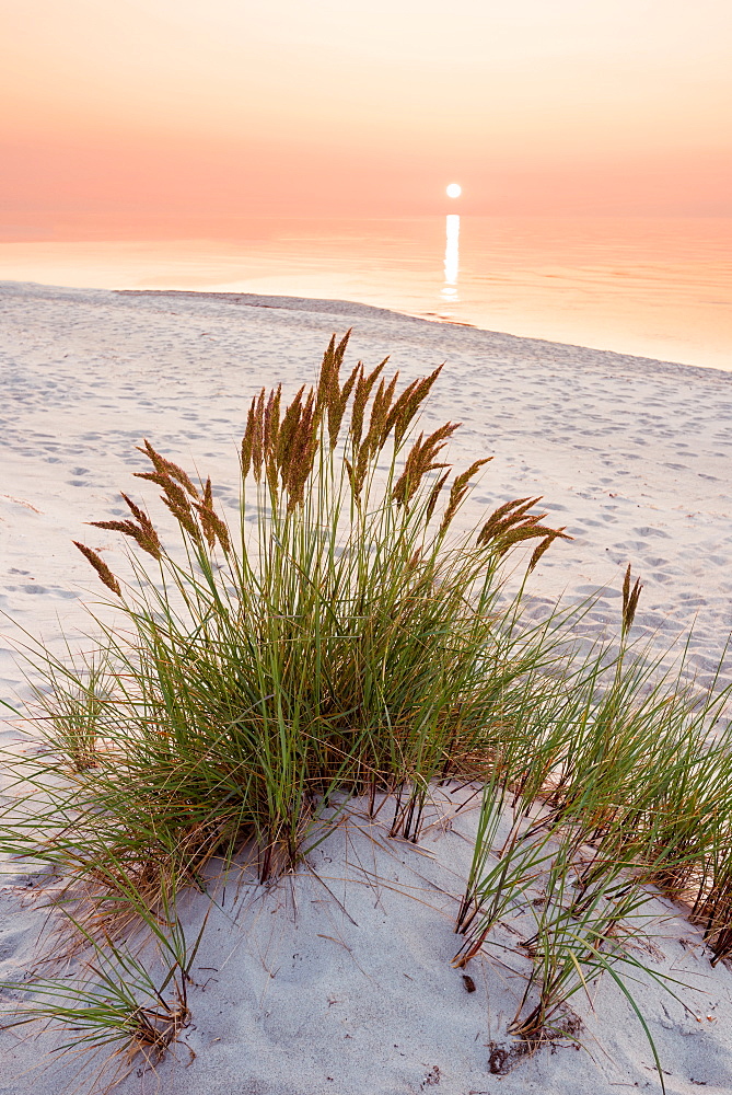 Summer, Sun, Sunset, Beach, Baltic Sea, Mecklenburg, Germany, Europe