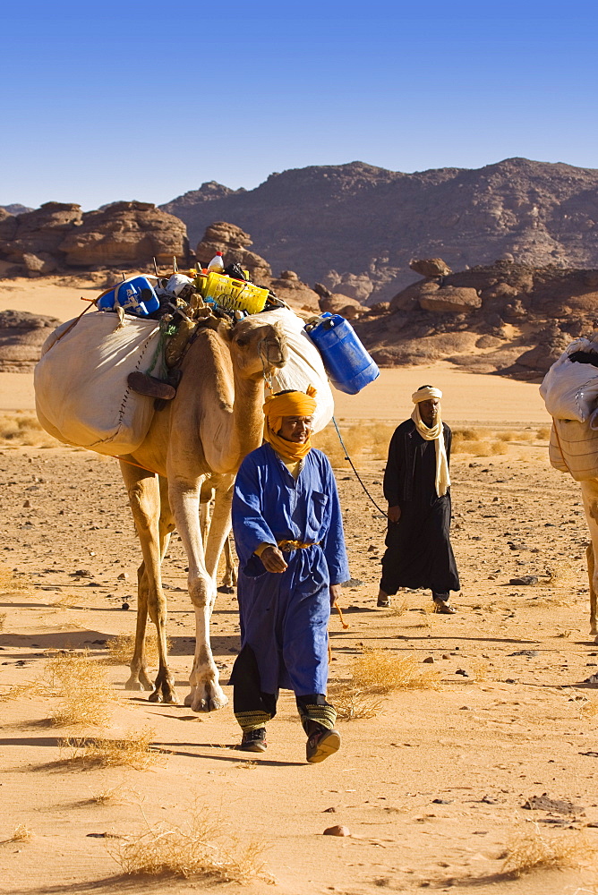 Camel Caravan in the libyan desert, Dromedaries, Camelus dromedarius, Akakus mountains, Libya, Sahara, North Africa