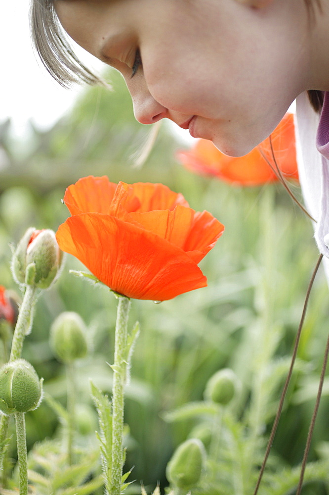 Young girl looking down at poppy