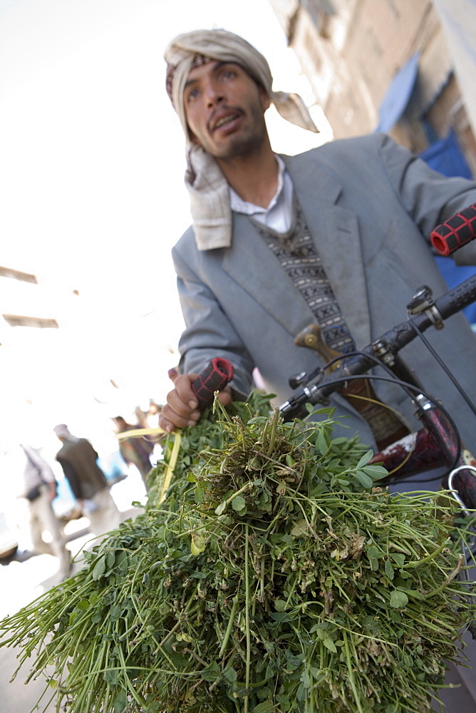 Man Selling Qat Leaves, Sana'a, Yemen