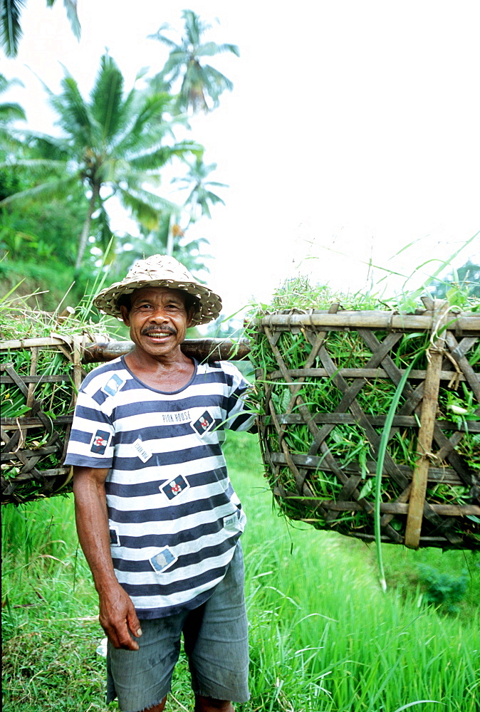 farmer in bali, rice, indonesia