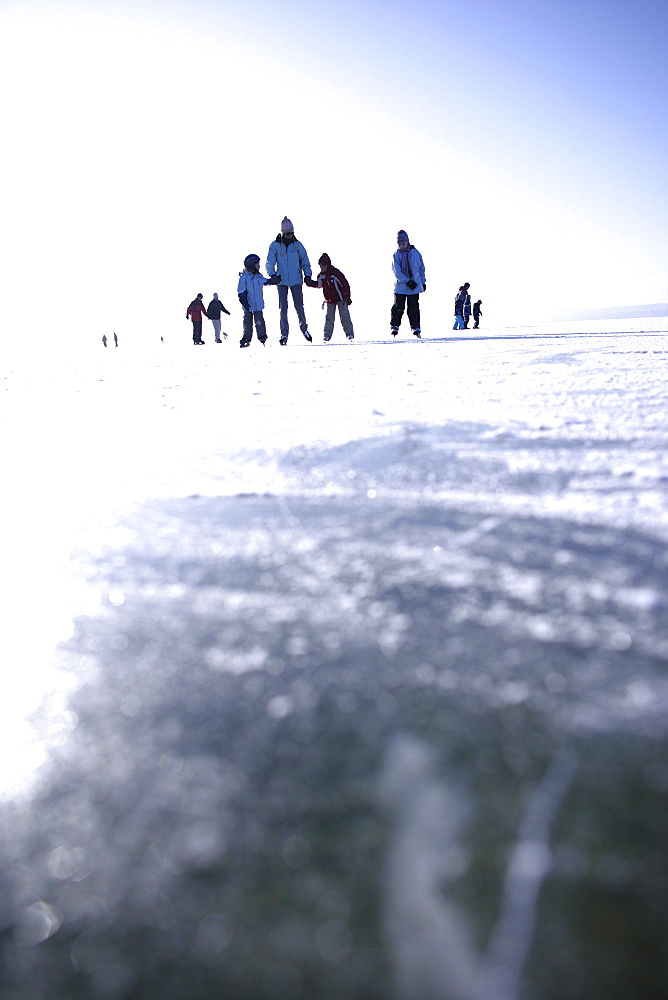 Family ice skating