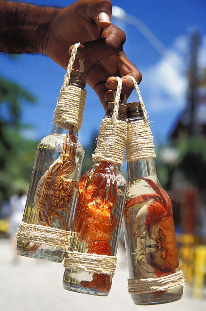 Cachaca, Porto do Galinhas, Pernambuco, Brazil