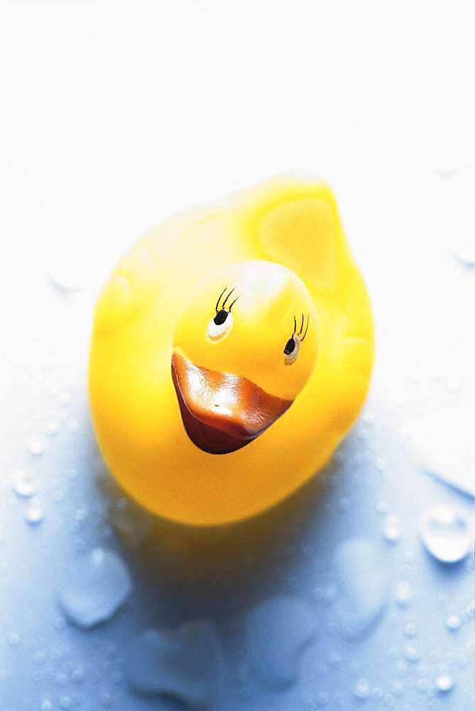 Rubber duck