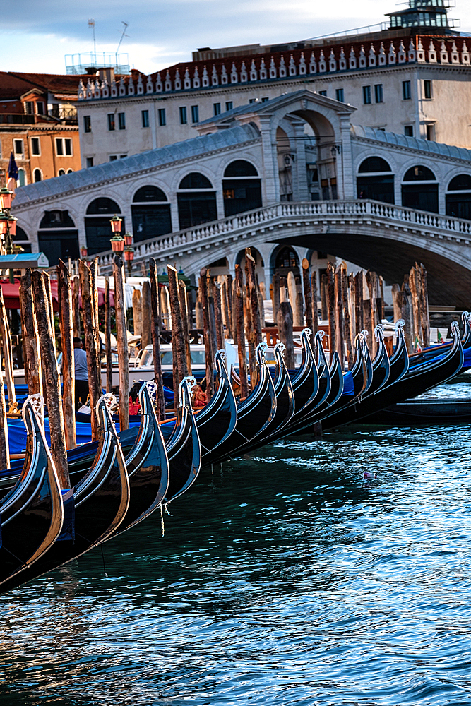 View of the gondolas at the Rialto Bridge on the Grand Canal, Venice, Veneto, Italy, Europe