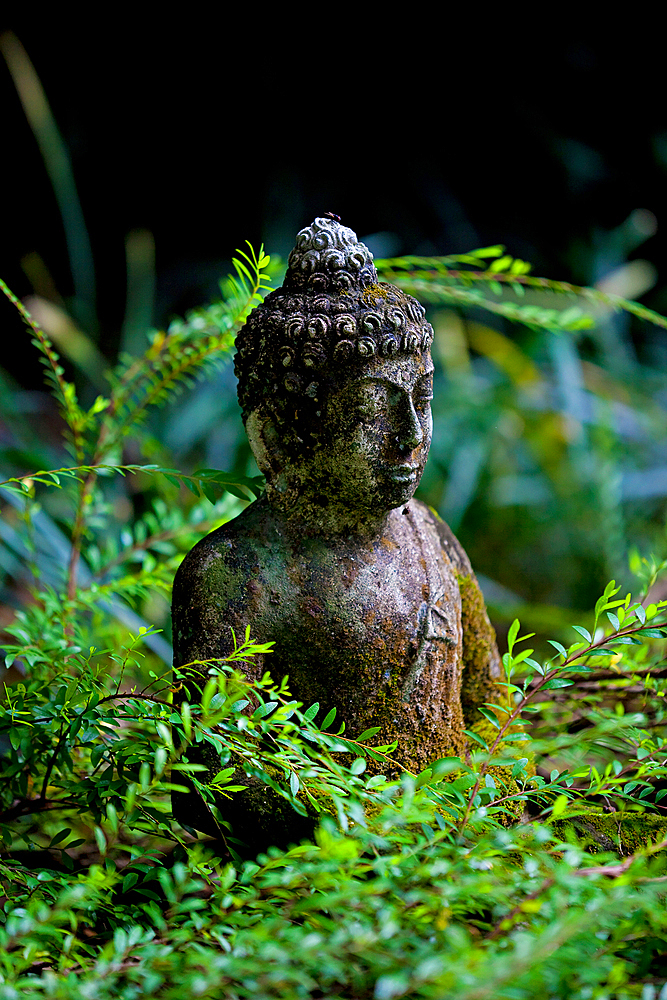 A stone carved Bhudda statue, set in a verdant green garden. Bali, Indonesia.