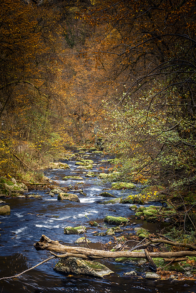 River Bode, Bodetal, Thale, Harz, Saxony-Anhalt, Germany, Europe