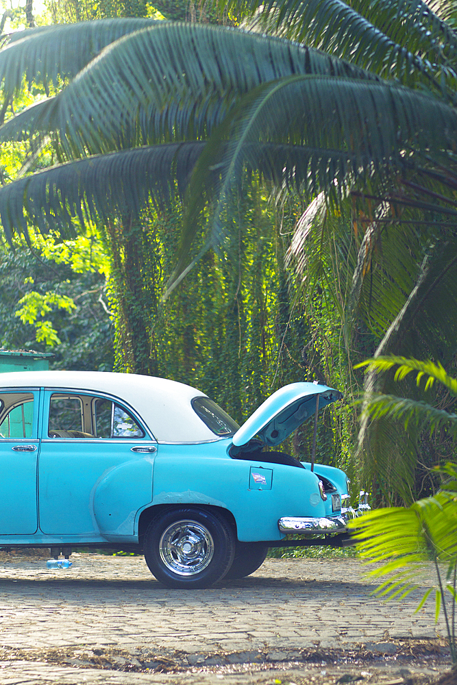 Classic car in a tropical environment in Havana, Cuba