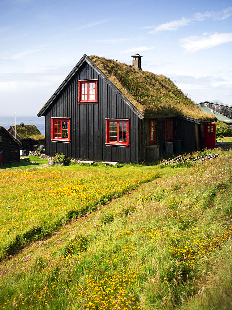 Black houses with red windows and a grass roof in the village of Kirkjubøur on Streymoy in the sun, Faroe Islands