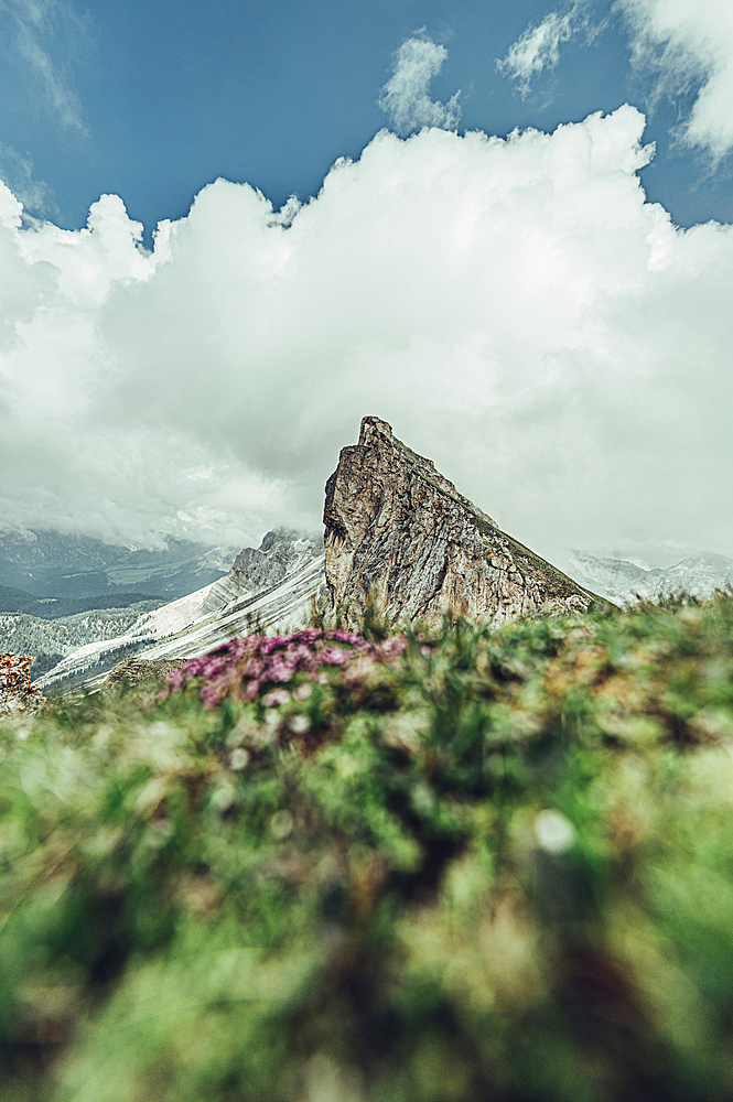 Seceda in the Dolomites, South Tyrol, Italy, Europe