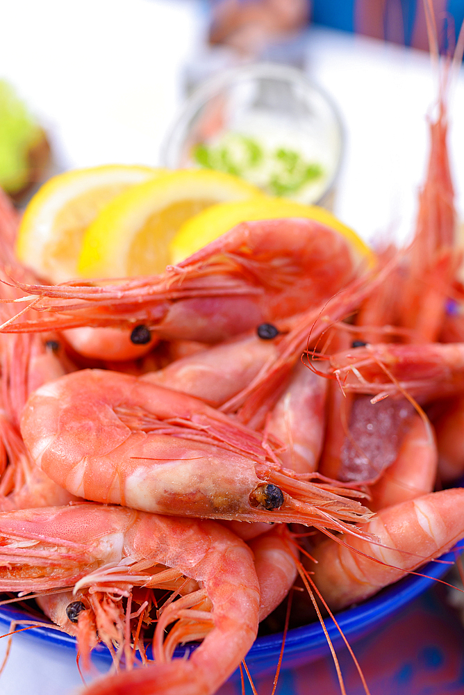 Fresh shellfish as a meal in the Ravnkloa fish hall, Trondheim, Norway