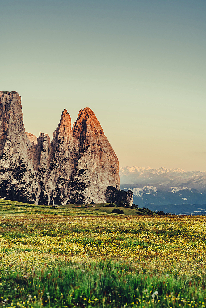 Sunrise on the Schlern, Seiser Alm, South Tyrol, Italy, Europe