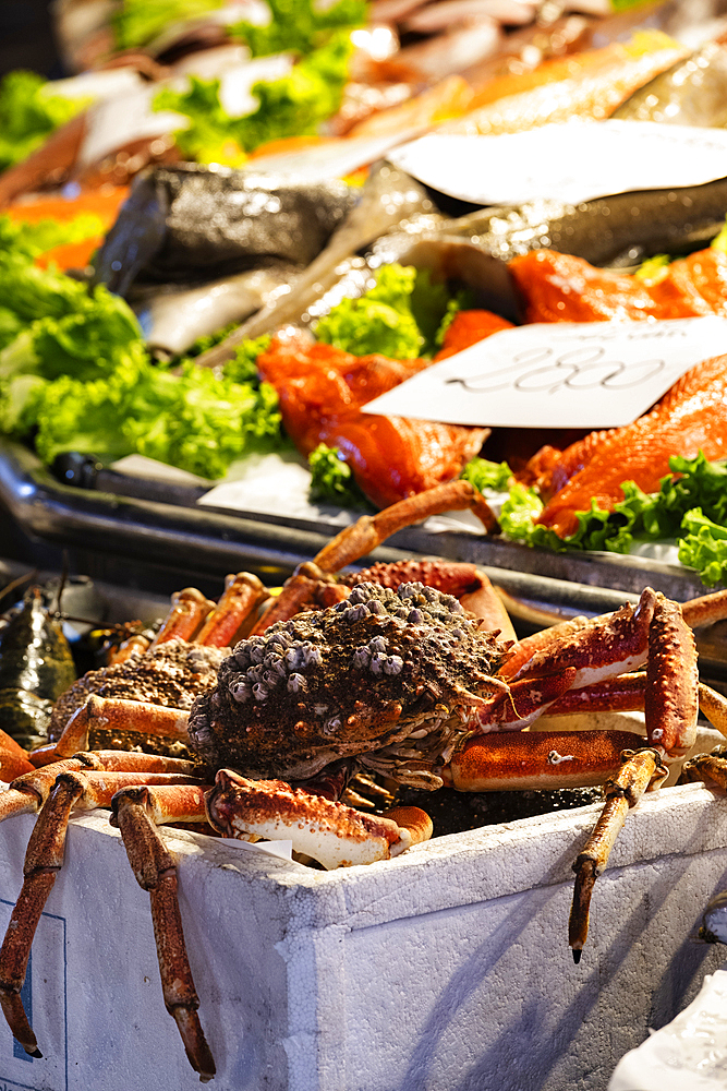 Detail shot of a spider crab on the fish market in Venice, Veneto, Italy, Europe