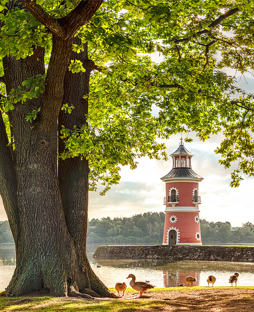 Miniature harbor and Saxony's only lighthouse at the Fasanenschlösschen near Moritzburg Castle, Saxony, Germany